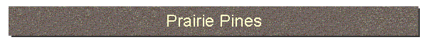 Prairie Pines